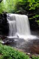 Ricketts Glen Falls