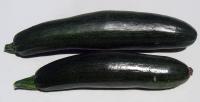 Monster Zucchini